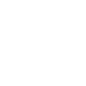 Srt Italia